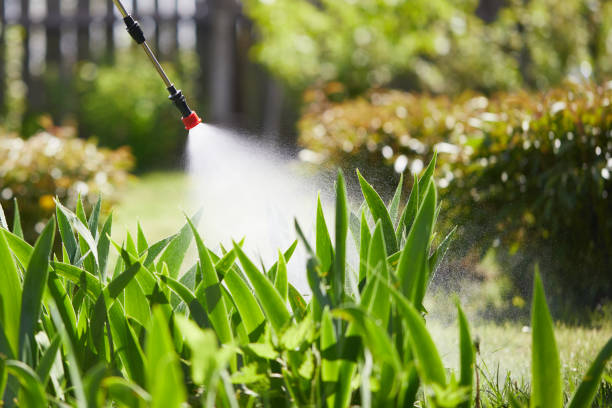 24/7 Emergency Cockroach Control experts in Blacksburg, SC